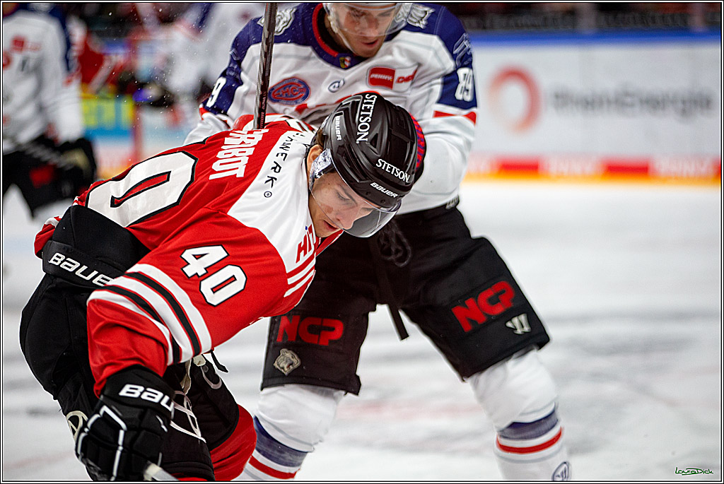 PENNY DEL; Koelner Haie- Nuernberger Ice Tigers; Koeln, 18.11.2022
